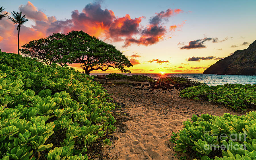 Sunrise Burst over Makapuu Beach Park in Waimanalo Hawaii Photograph by ...