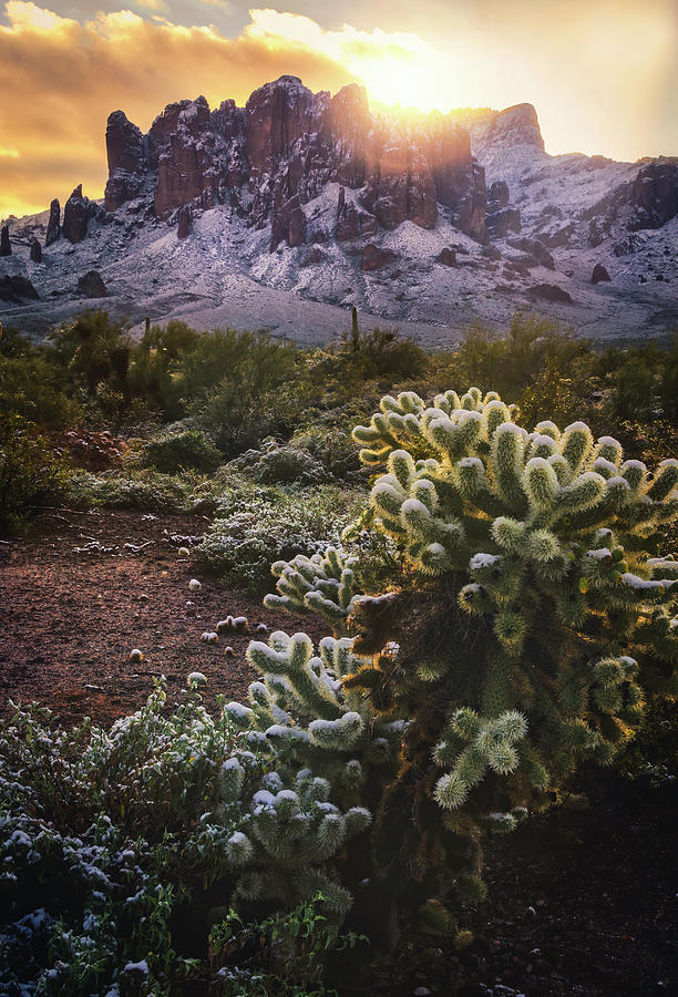 Sunrise Calling In The Sonoran  Photograph by Saija Lehtonen