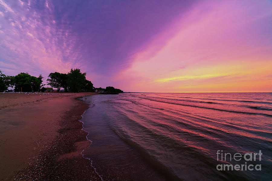Sunrise Cedar Island Photograph by Rachel Cohen