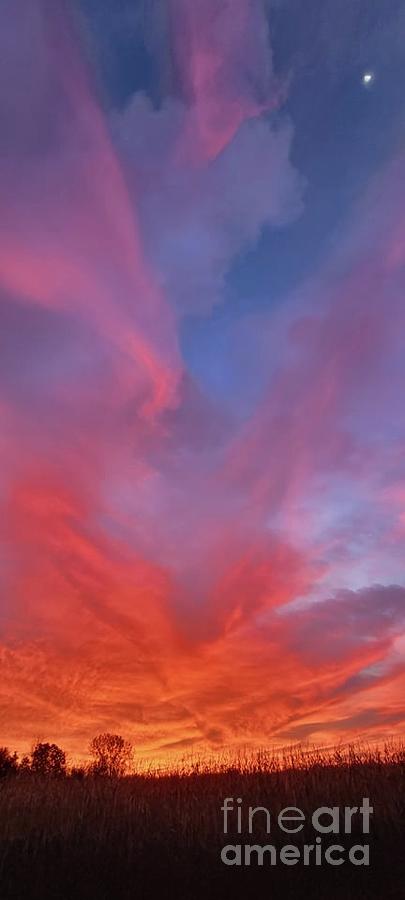 Sunrise Colors in Michigan Photograph by Erick Schmidt