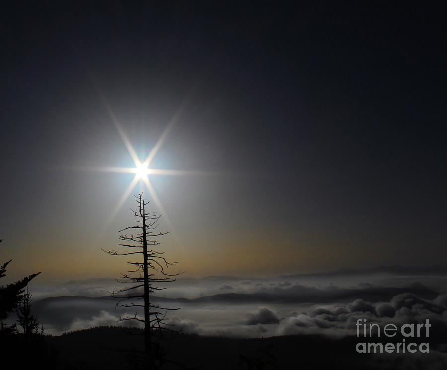 Sunrise crests on Dead Frazier Fir Photograph by Micky Roberts