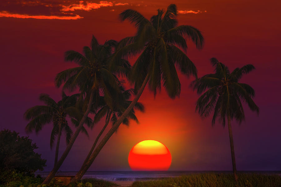 Sunrise Dream Photograph by Mark Andrew Thomas