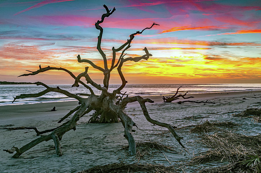 Sunrise Driftwood Beach Jekyll Island Photograph By Eric Albright Pixels