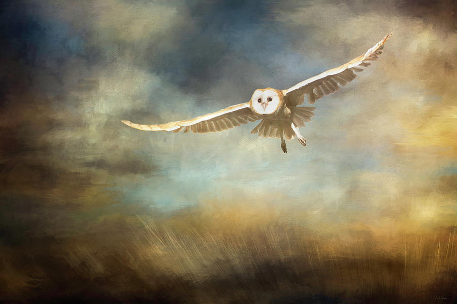 Owl Digital Art - Sunrise Flight by Nicole Wilde