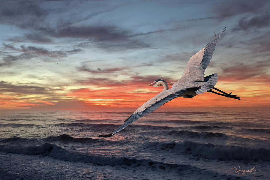 Sunrise Flight of a Heron Digital Art by M Spadecaller