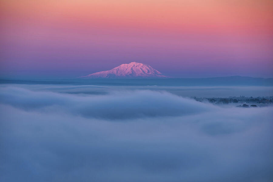 Sunrise fog Photograph by Lynn Hopwood