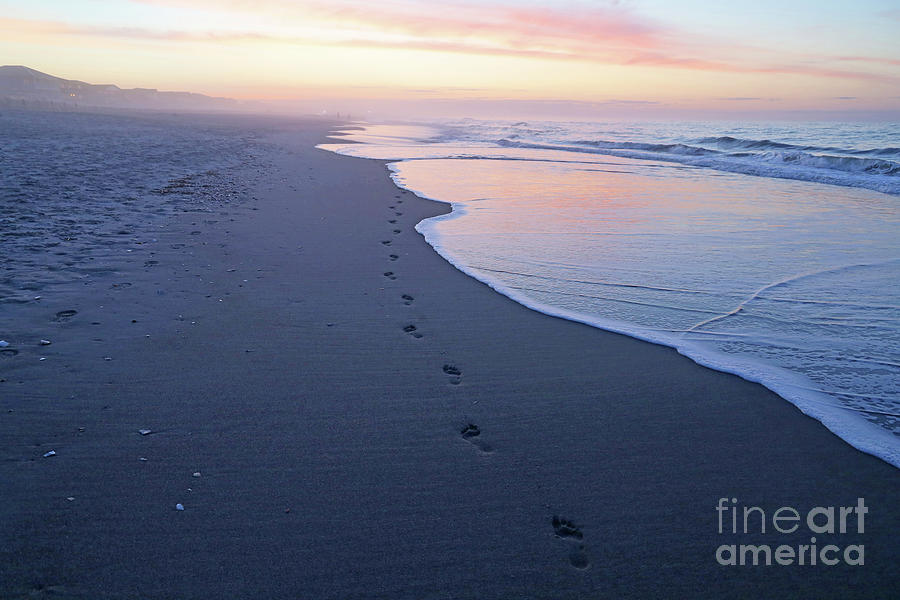 Sunrise Footprints in the Sand 6247 Photograph by Jack Schultz