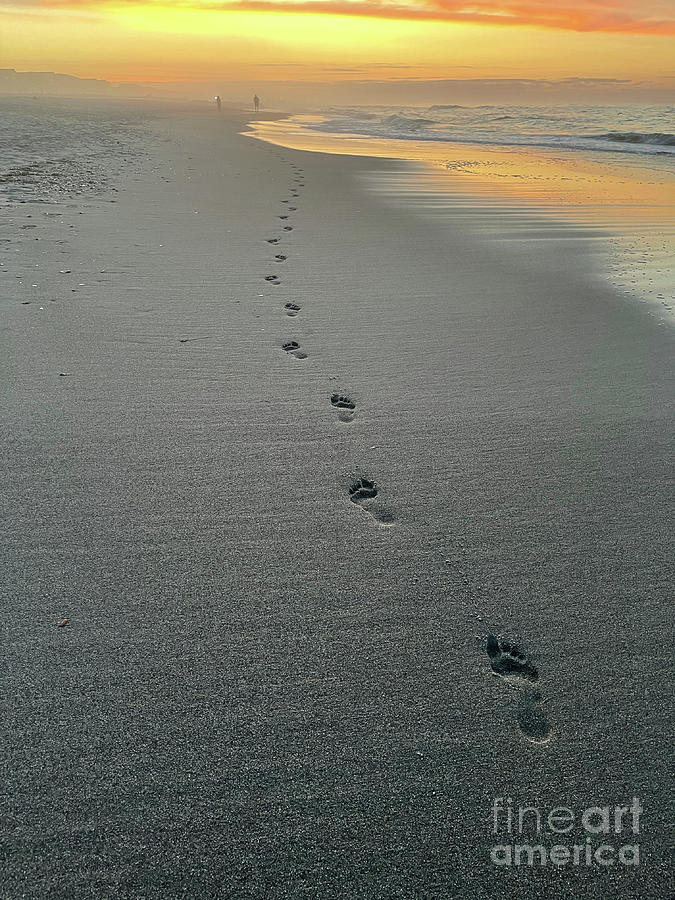 Sunrise Footprints in the Sand 6953 Photograph by Jack Schultz