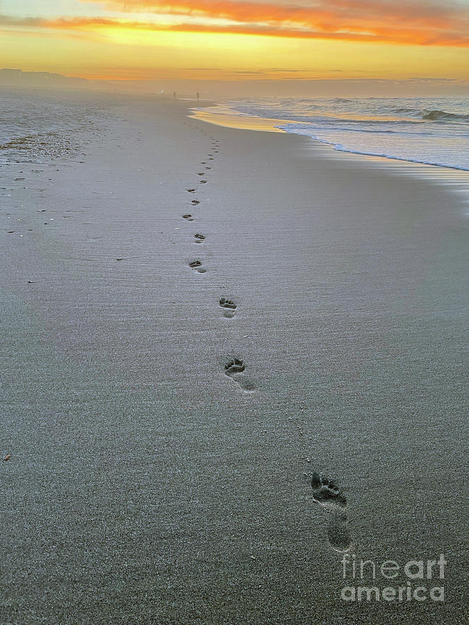 Sunrise Footprints in the Sand 6954 Photograph by Jack Schultz