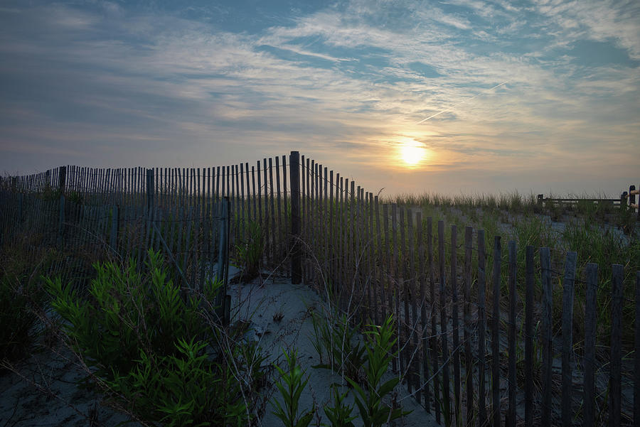 Sunrise from behind the Dune Fence Photograph by Matthew DeGrushe