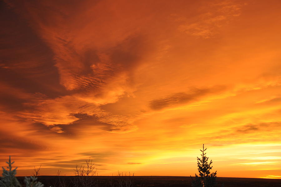 Sunrise from Crystal Park, Colorado 37 Photograph by LaRue Ebersole ...