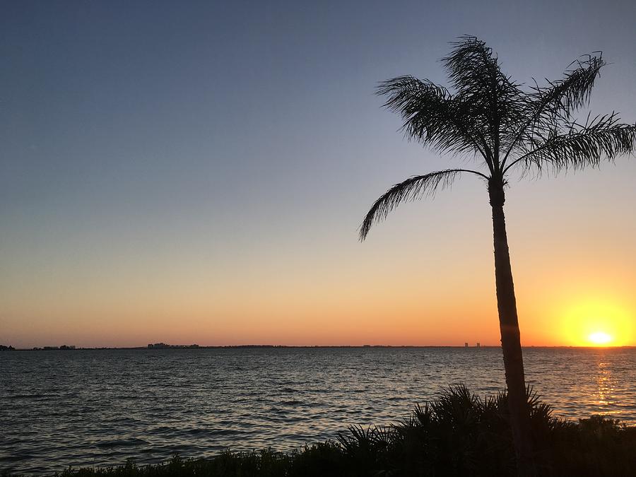 Sunrise from Sanibel Photograph by Amanda Dobson | Fine Art America