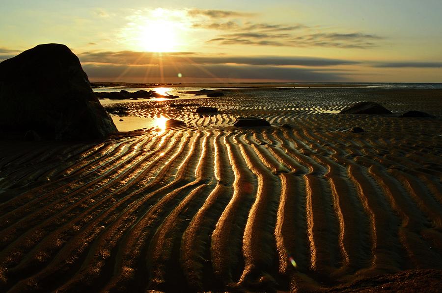 Sunrise Gold Photograph by Dianne Cowen Cape Cod Photography