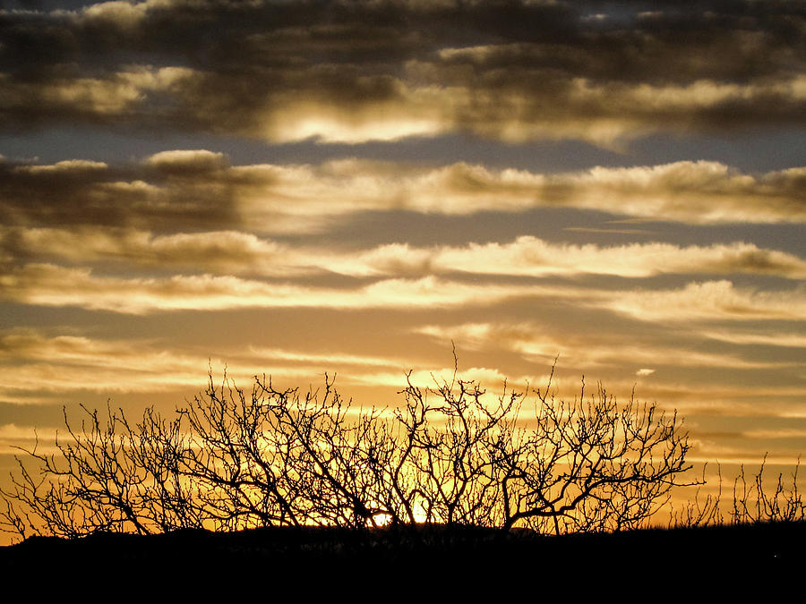 Sunrise Gold Photograph by Renny Spencer | Fine Art America