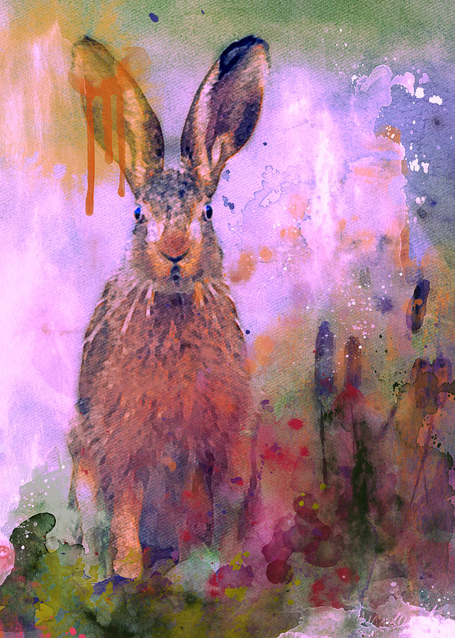 Sunrise Hare Mixed Media by Ann Leech