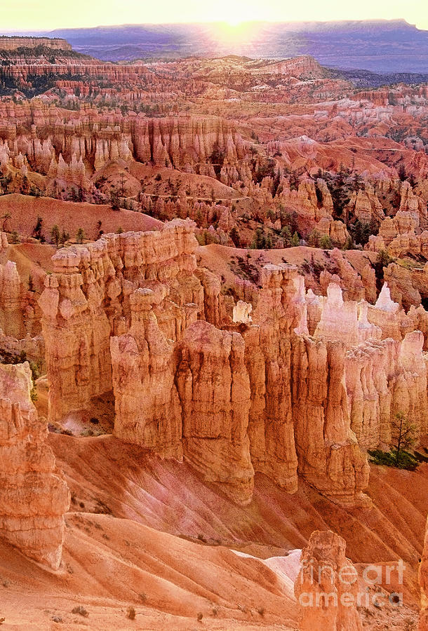 Sunrise Hoodoos Bryce Canyon National Park Utah Photograph by Dave Welling