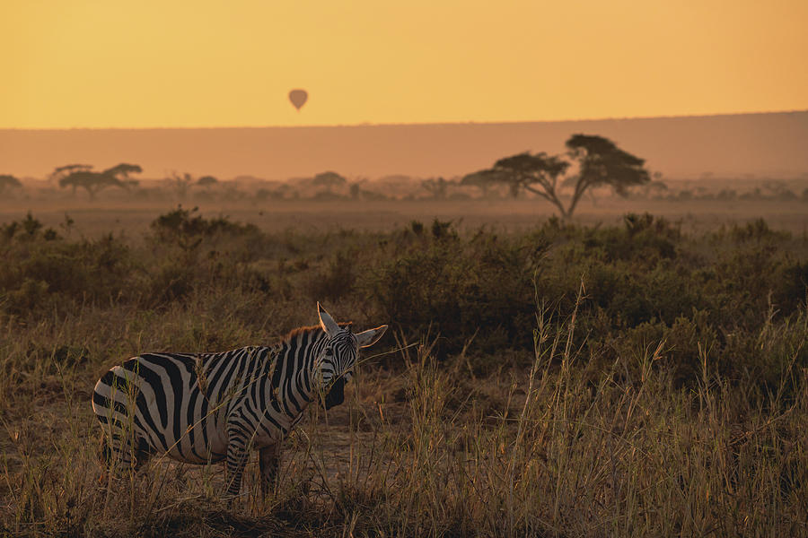 Sunrise in Amboseli #2 Photograph by Ewa Jermakowicz
