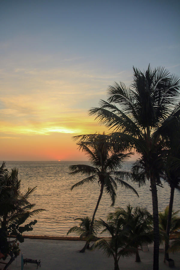 Sunrise in Belize 3 Photograph by Cindy Robinson