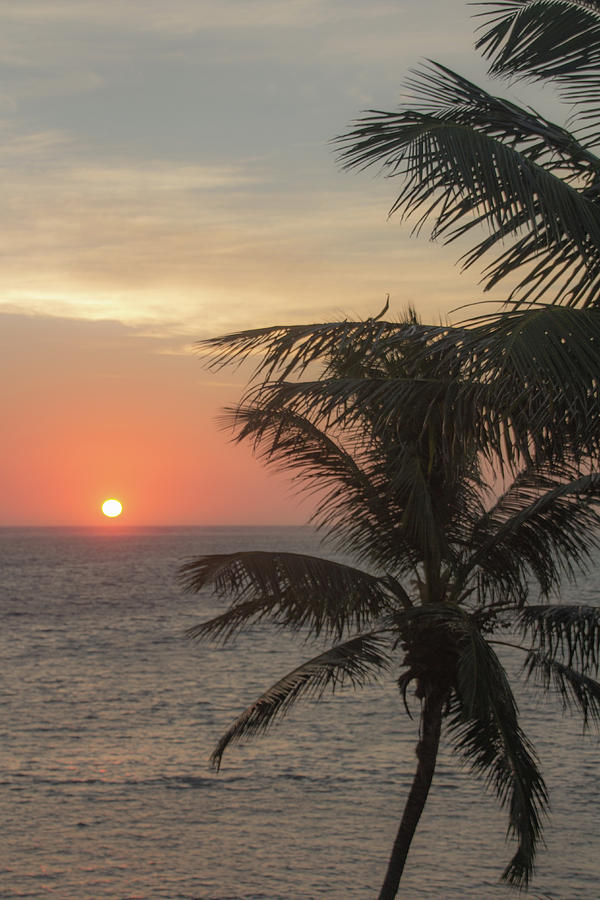 Sunrise in Belize Photograph by Cindy Robinson