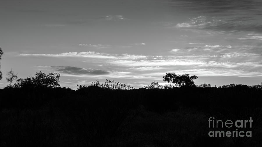 Sunrise in black and white Photograph by Agnes Caruso