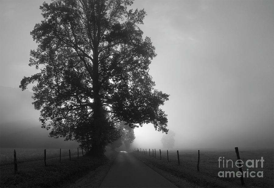 Sunrise in Black and White Photograph by Douglas Stucky