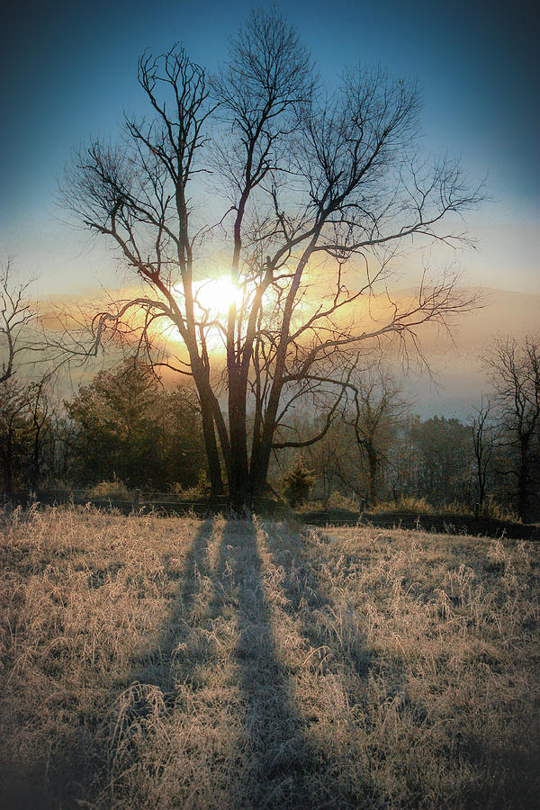 Sunrise in Cades Cove Photograph by Nunweiler Photography