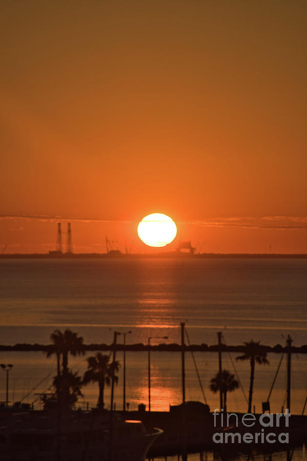 Sunrise in Corpus Christi Photograph by Andrea Anderegg