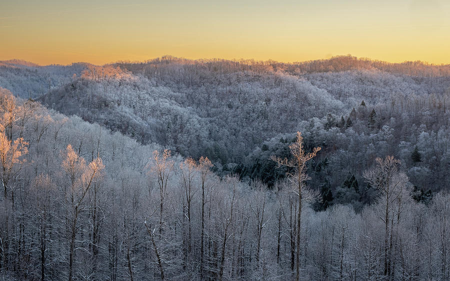 Sunrise in Frost Photograph by Cris Ritchie