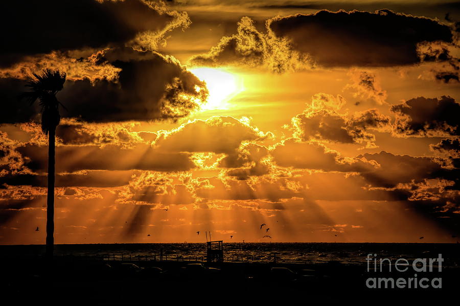 Landscape Photograph - Sunrise in Galveston by Diana Mary Sharpton