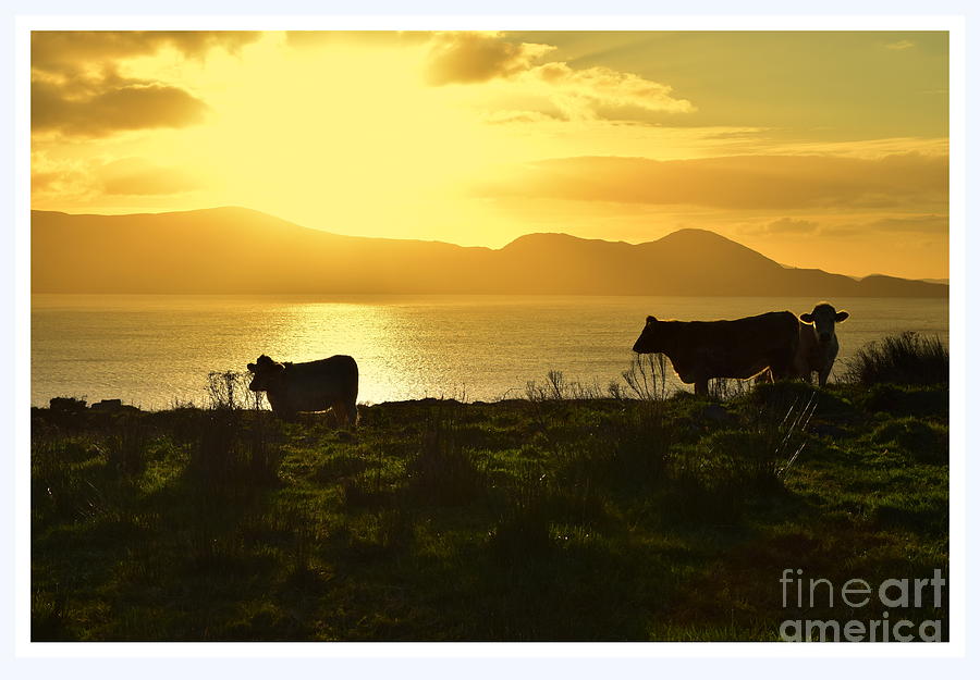 Sunrise in Ireland  Photograph by Joe Cashin