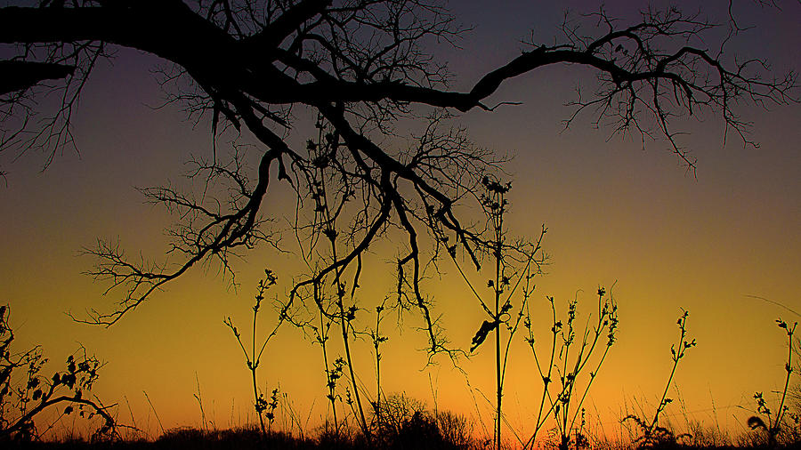 Sunrise Photograph - Sunrise in Joliet, Illinois by David Morehead