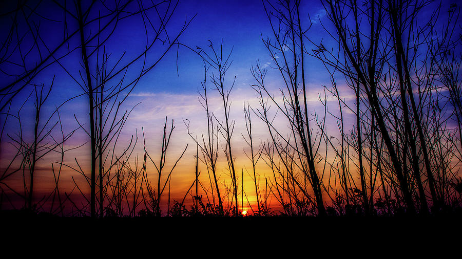 Sunrise in Lockport, Illinois Photograph by David Morehead
