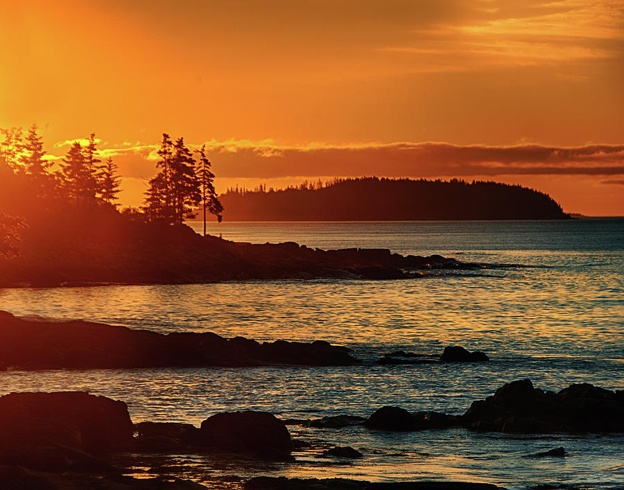 Sunrise in Maine Photograph by Eleanor Bortnick