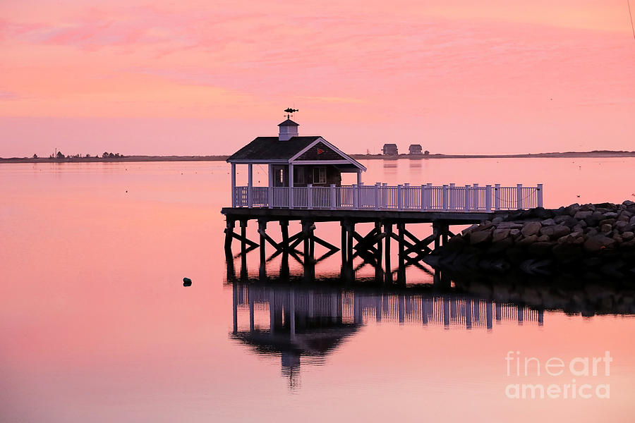 Sunrise in pink with reflections  Photograph by Janice Drew