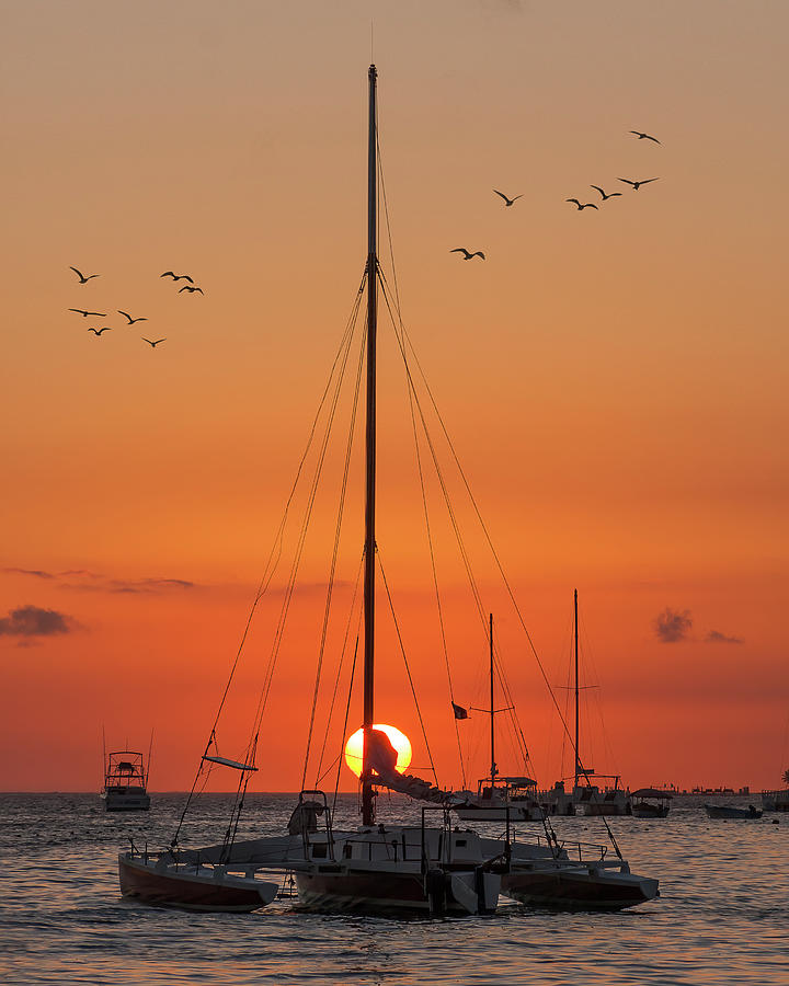 Sunrise in Punta Cana Photograph by Adam Romanowicz