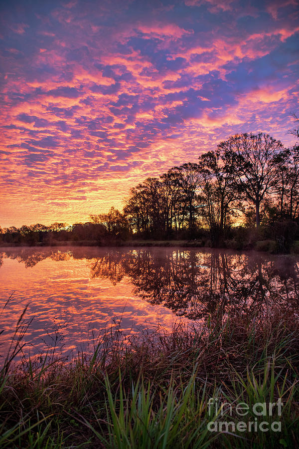 Sunrise in Sunset Louisiana Photograph by Bonnie Barry