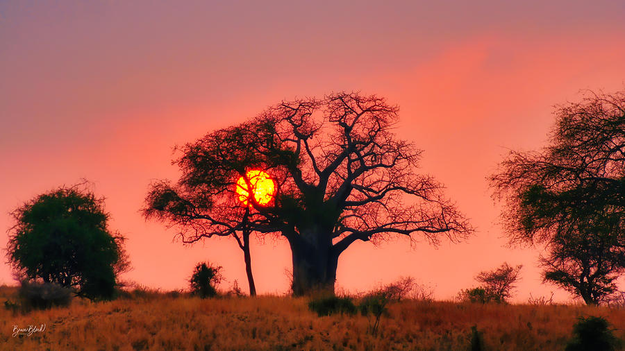 Sunrise in Tanzania Photograph by Bruce Block