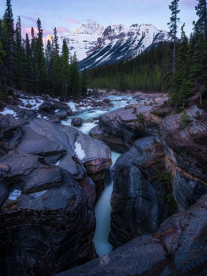 Banff National Park Photograph - Sunrise in the canyon by Yves Gagnon