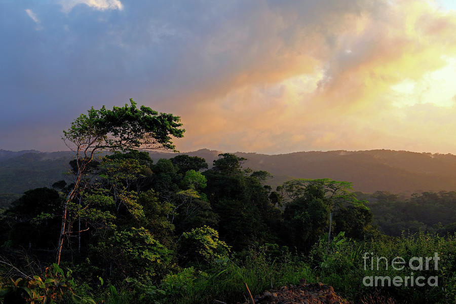 Sunrise in the Comarca de San Blas cloud forests Panama Photograph by James Brunker