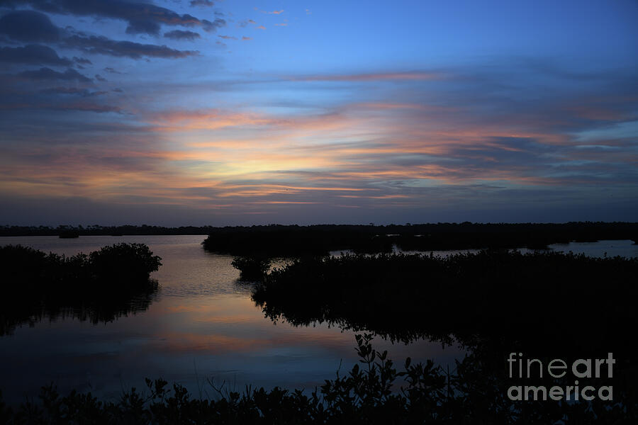 Sunrise In The Mangroves Photograph by Brenda Harle - Fine Art America