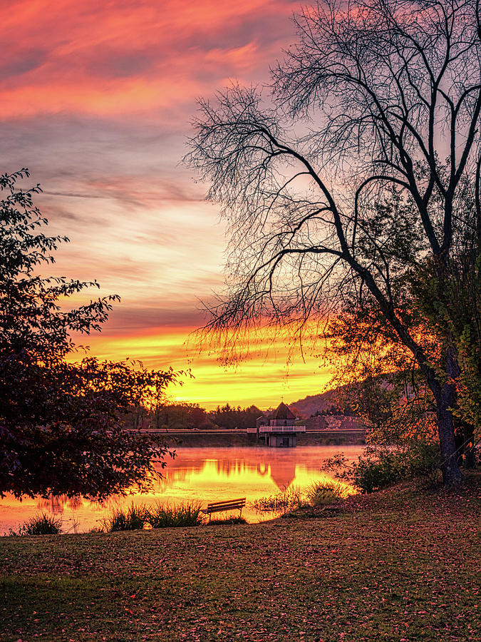 Sunrise In The Park Photograph by Walt Ebbert
