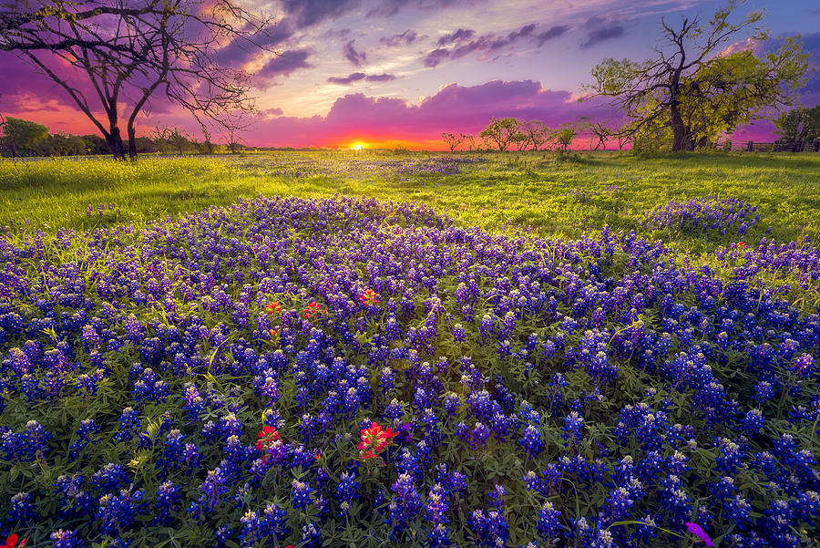 Sunrise in the Texas Hill Country Photograph by Dean_Fikar