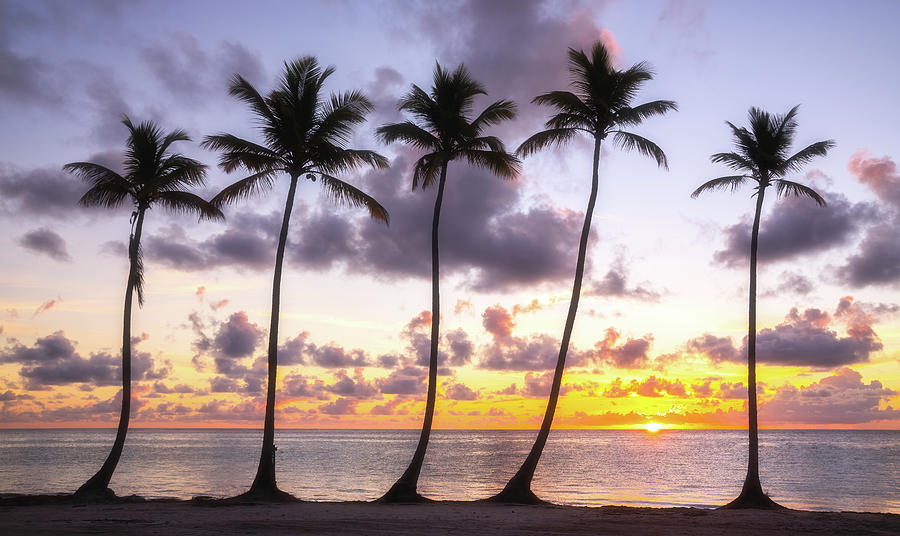 Sunrise In The Tropics Photograph