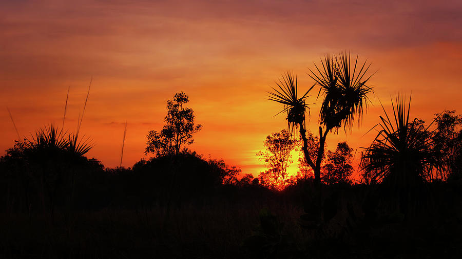 Sunrise - Kakadu National Park Photograph by Lexa Harpell