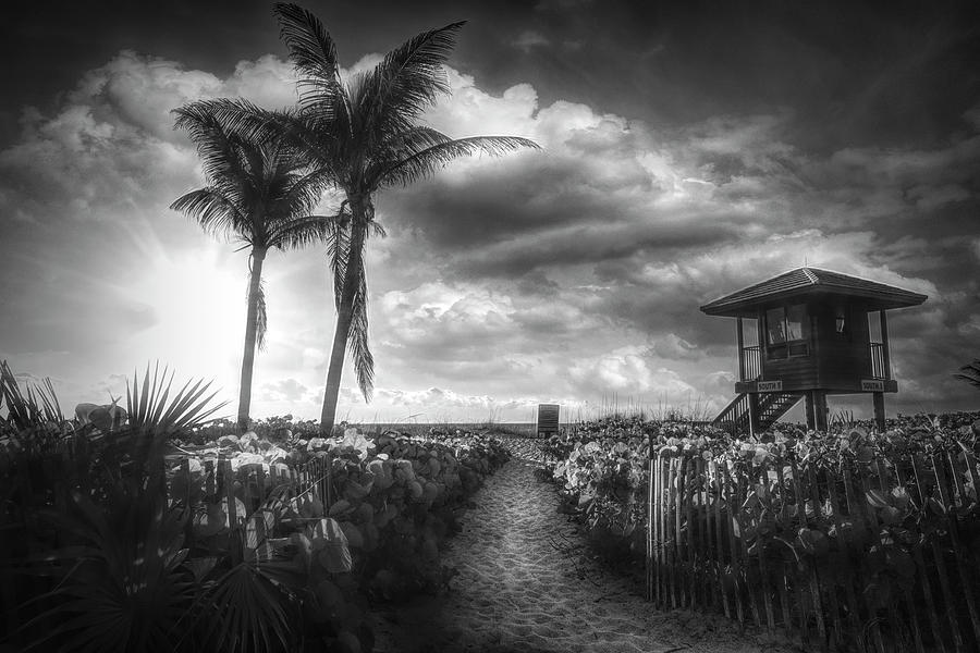 Sunrise Lifeguard Stand in Black and White Photograph by Debra and Dave Vanderlaan