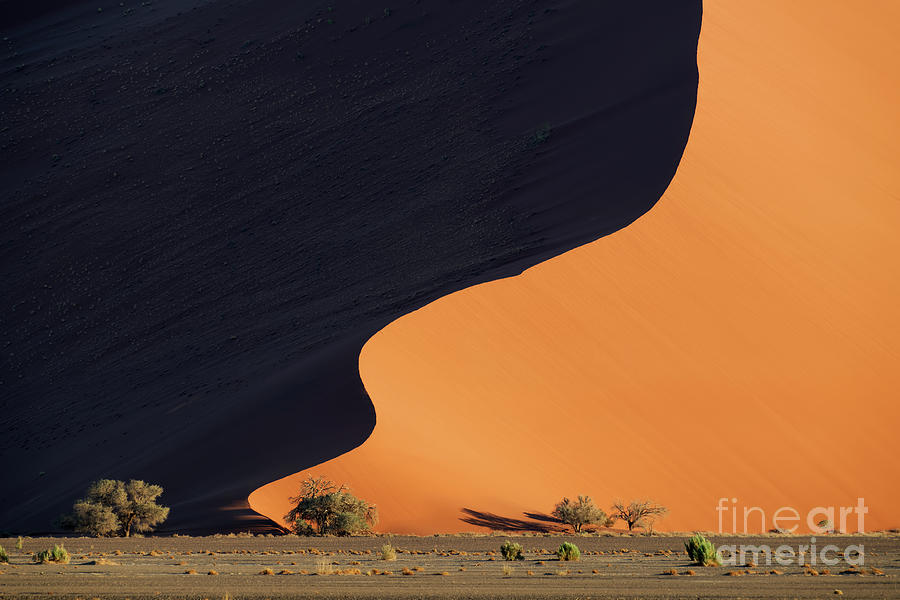 Sunrise Light Casting Shadow on Sand Dune at Sossusvlei in Namibia Photograph by Tom Schwabel