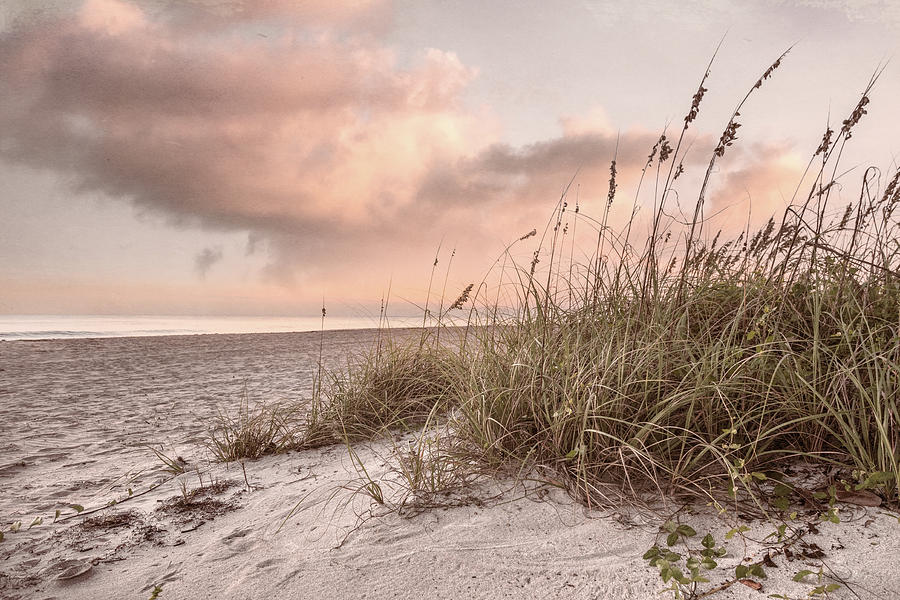 Sunrise Light over the Cottage Dunes Photograph by Debra and Dave Vanderlaan