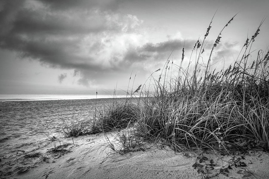 Sunrise Light over the Dunes Black and White Photograph by Debra and ...