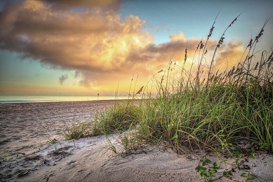 Sunrise Light over the Dunes Photograph by Debra and Dave Vanderlaan