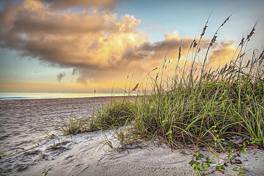 Sunrise Light over the Dunes Painting Photograph by Debra and Dave Vanderlaan